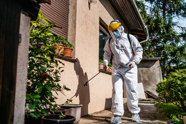 Best Pest Prevention Services  in Mullica Hill, NJ
