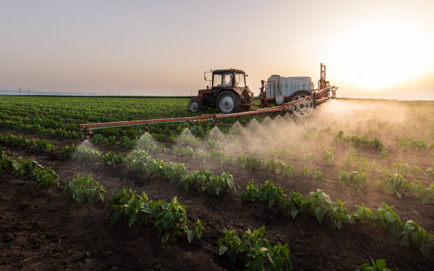 Best Mosquito Control Services  in Mullica Hill, NJ