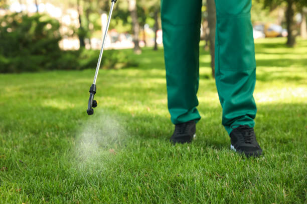 Best Pest Removal Services  in Mullica Hill, NJ
