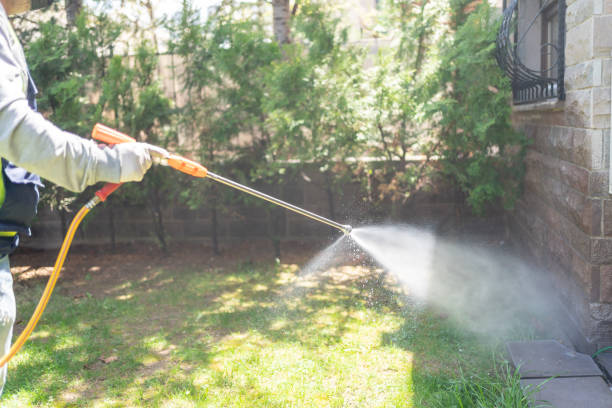 Best Pest Control for Homes  in Mullica Hill, NJ