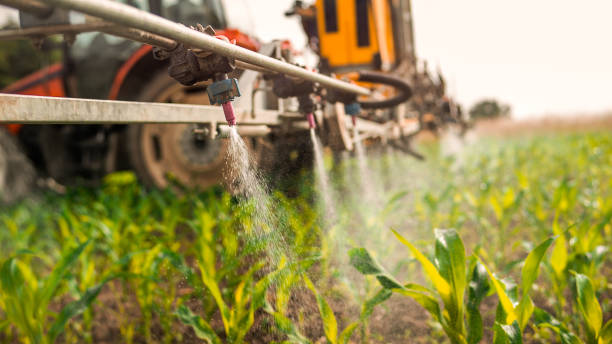 Reliable Mullica Hill, NJ Pest Control Solutions